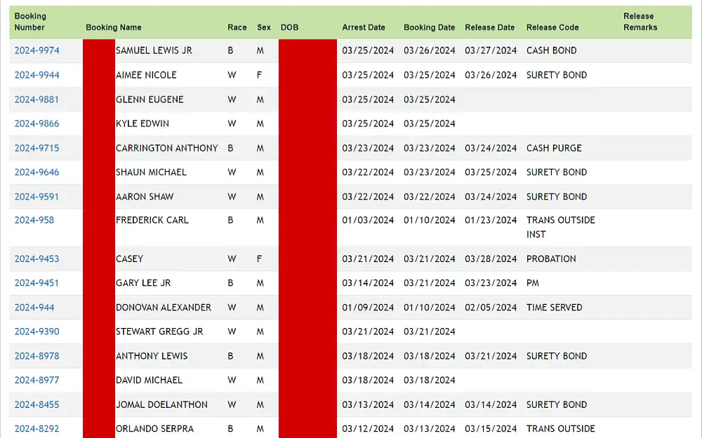 A screenshot displaying the arrest search results shows the booking number, name, race, sex, date of birth, arrest date, booking date, release date, code and remarks from the Hillsborough County Sheriff’s Office website.