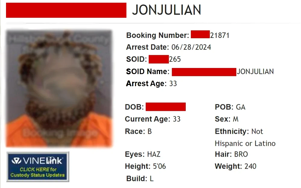 A screenshot of a sample inmate information of an individual within Hillsborough County presented by the sheriff's office displaying the mugshot, name, booking number, arrest date, DOB and more details.